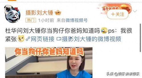 刘大锤今日爆料最新一期,揭秘最新一期惊人内幕