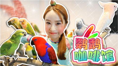 鹦鹉第2季在线播放