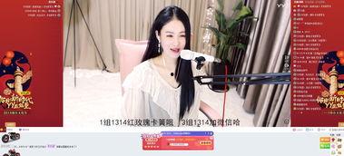 宅视频,揭秘现代年轻人的娱乐新宠