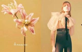 awaylee明星,闪耀舞台背后的故事