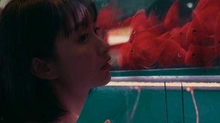 吃瓜少女完整版免费,一场视觉与情感的盛宴