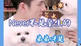 内地龅牙男明星,颜值与才华并存的独特魅力